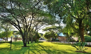 Property grounds - Thebe River Safaris (Kasane)