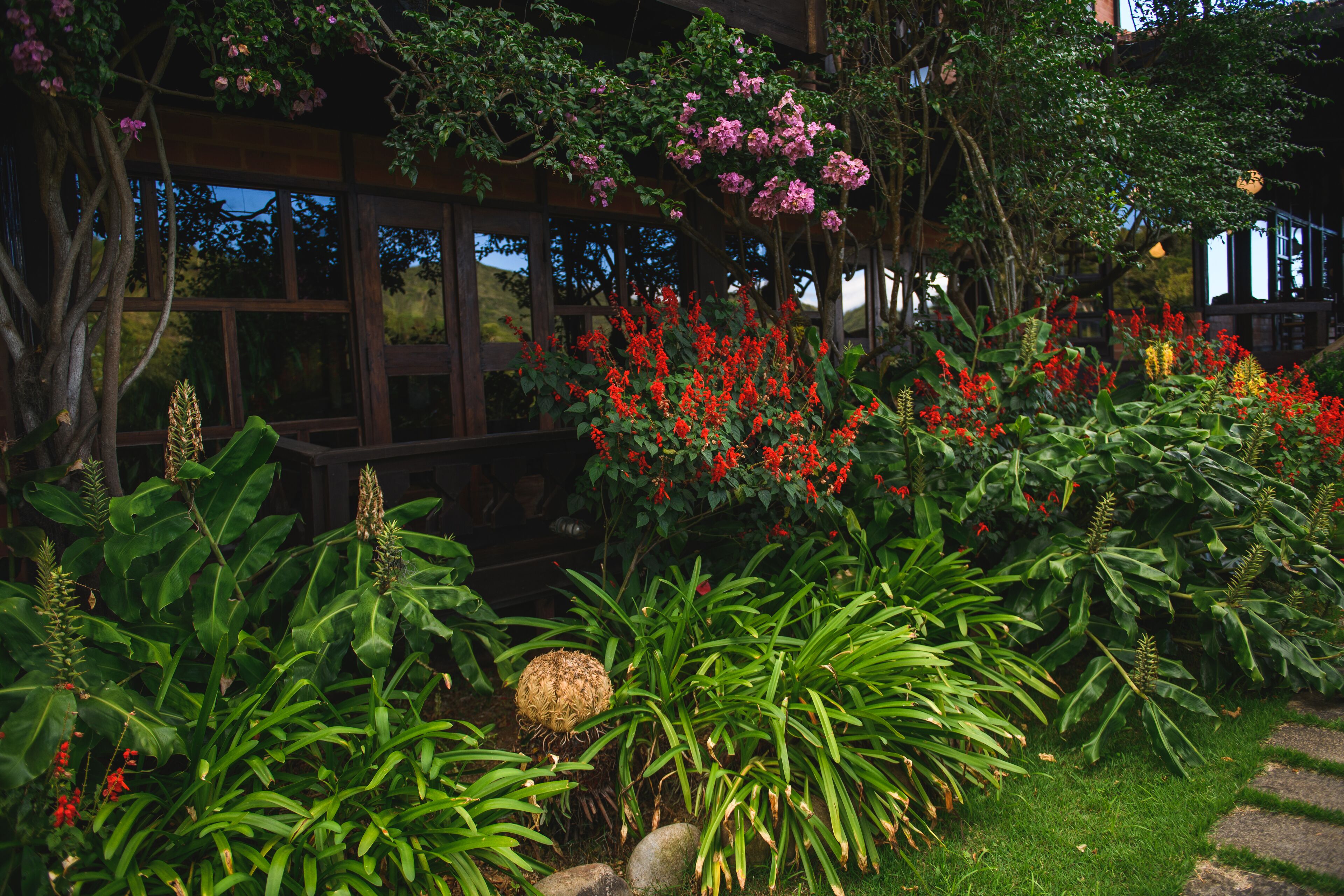 A lush garden with various plants and flowers, a wooden bench, and a building with large windows in the background.