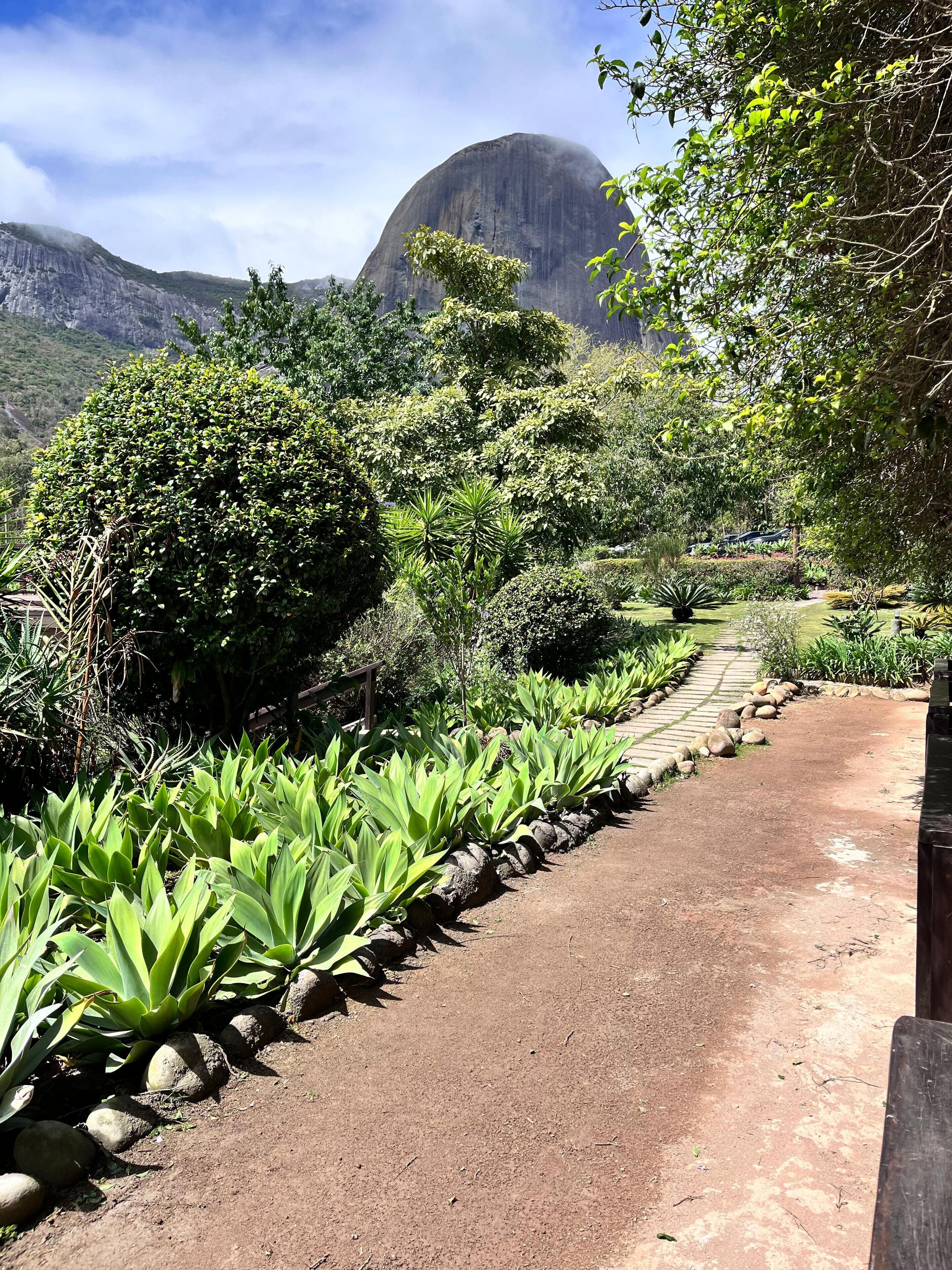 Un sendero en un jardín con diversas plantas y una montaña al fondo.