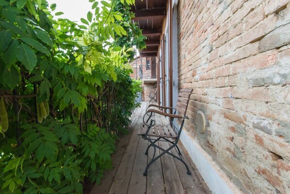 A narrow wooden pathway flanked by lush green foliage and a brick wall.
