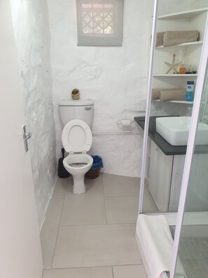 Departamento | Baño | Regadera, secadora de cabello, toallas