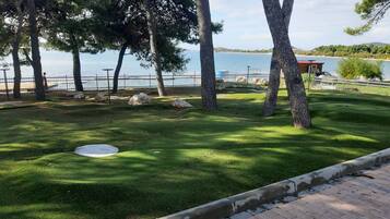 Mini-golf