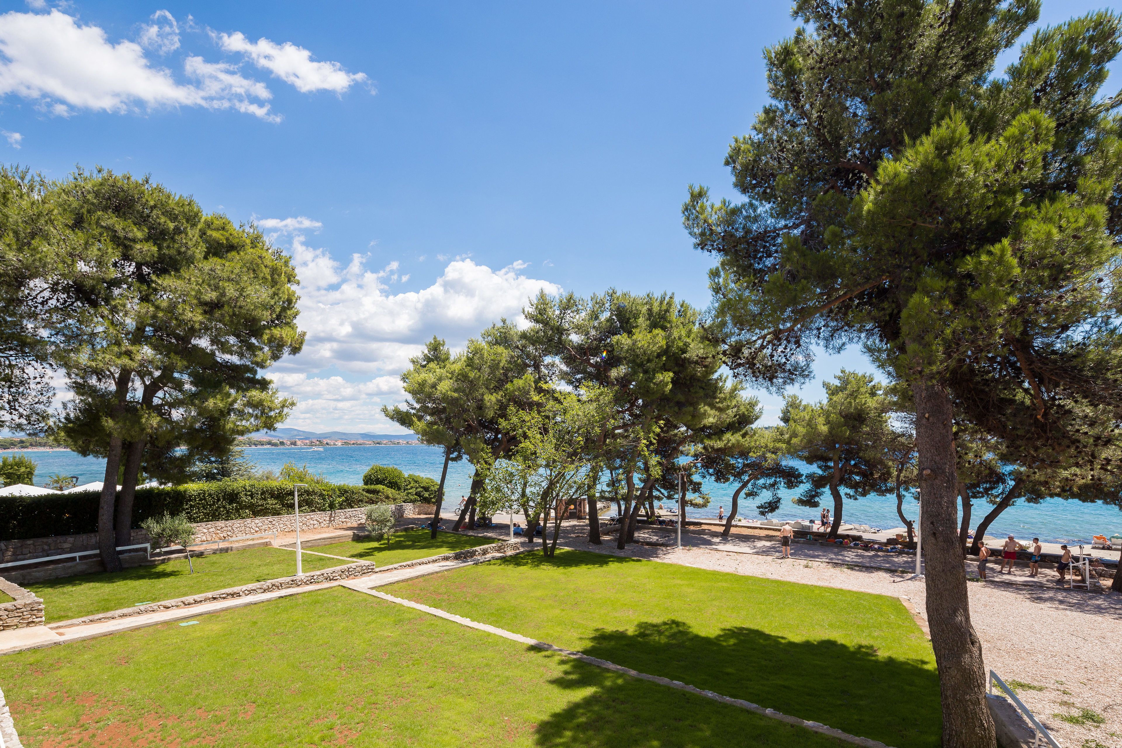 Un espace verdoyant avec des arbres et une vue sur la mer.