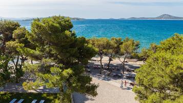 A beach with trees, a sandy area with benches, and a view of the sea.