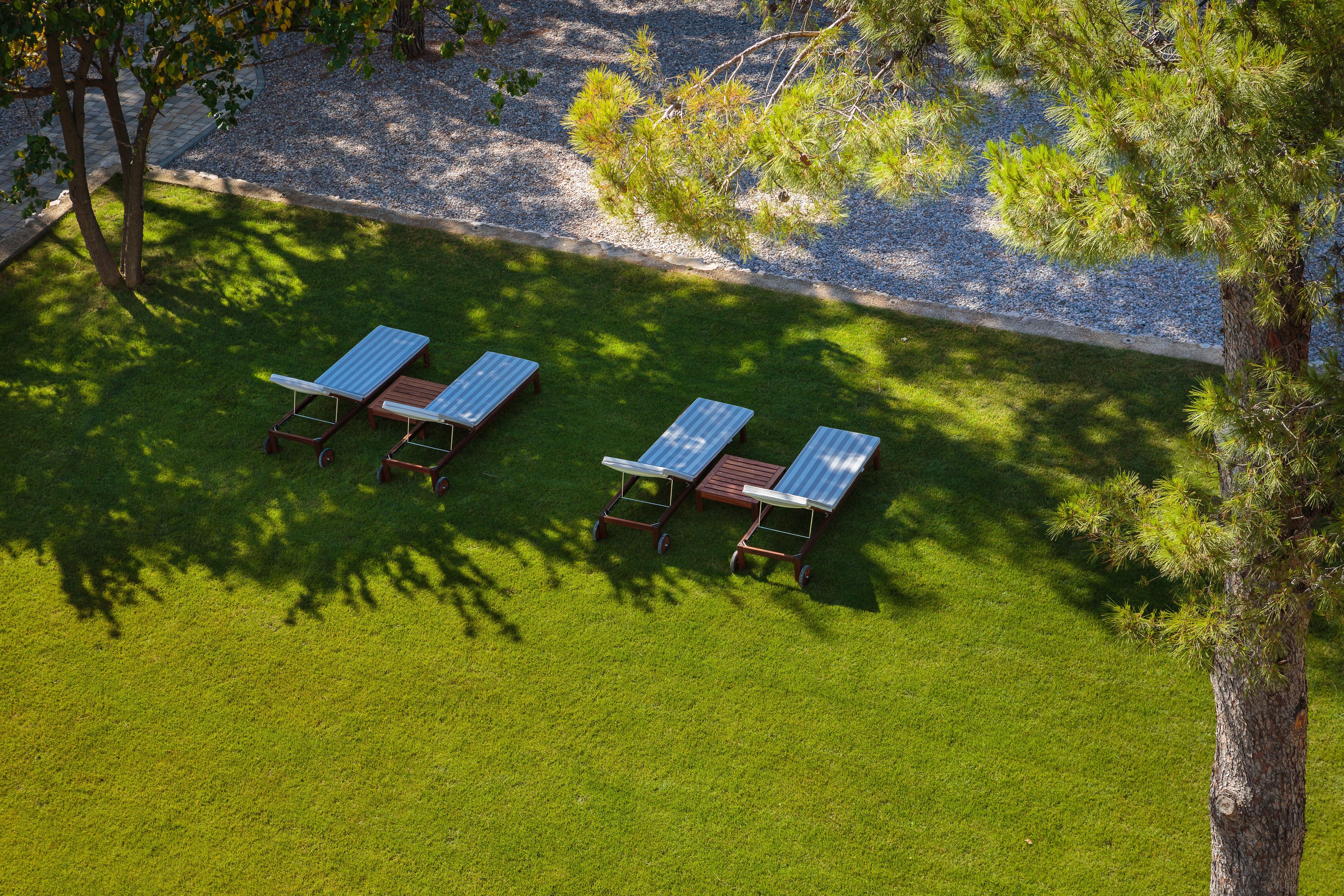 An aerial view of a grassy area with three sun loungers and a tree.