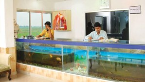 Un espace d’accueil avec deux réceptionnistes derrière des comptoirs, un grand aquarium et une vue sur l’extérieur.