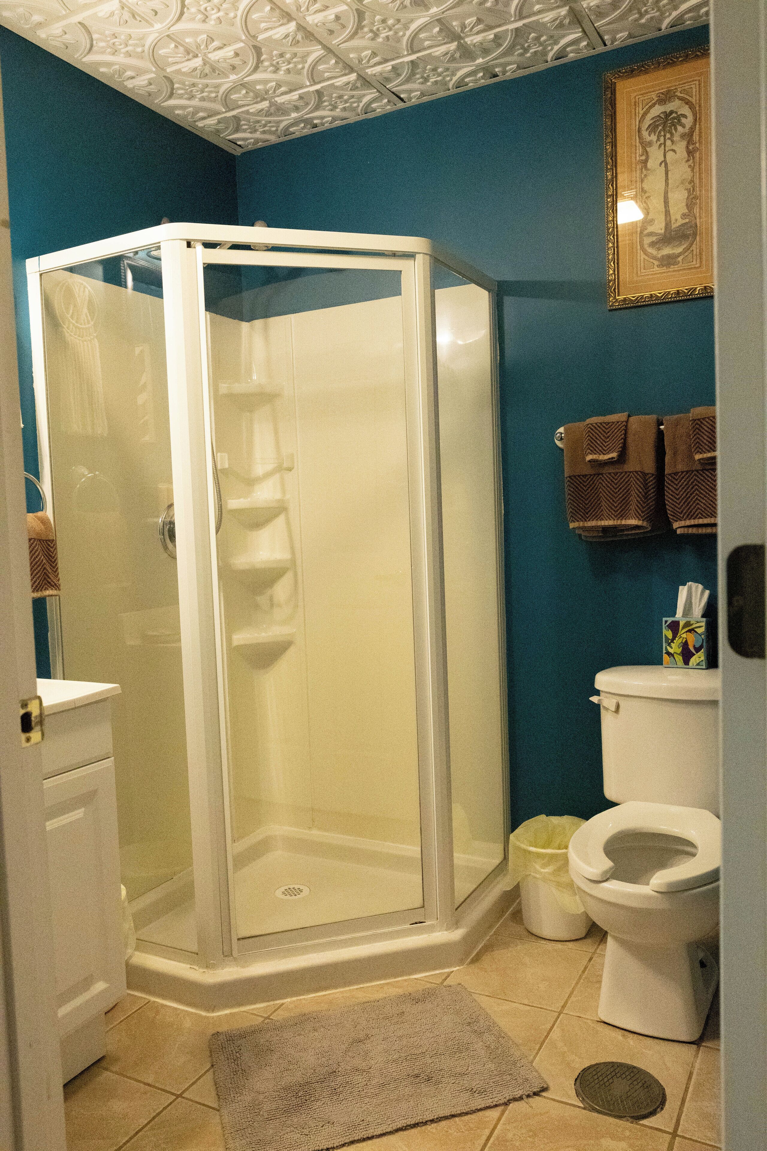 comfort room | bathroom | shower