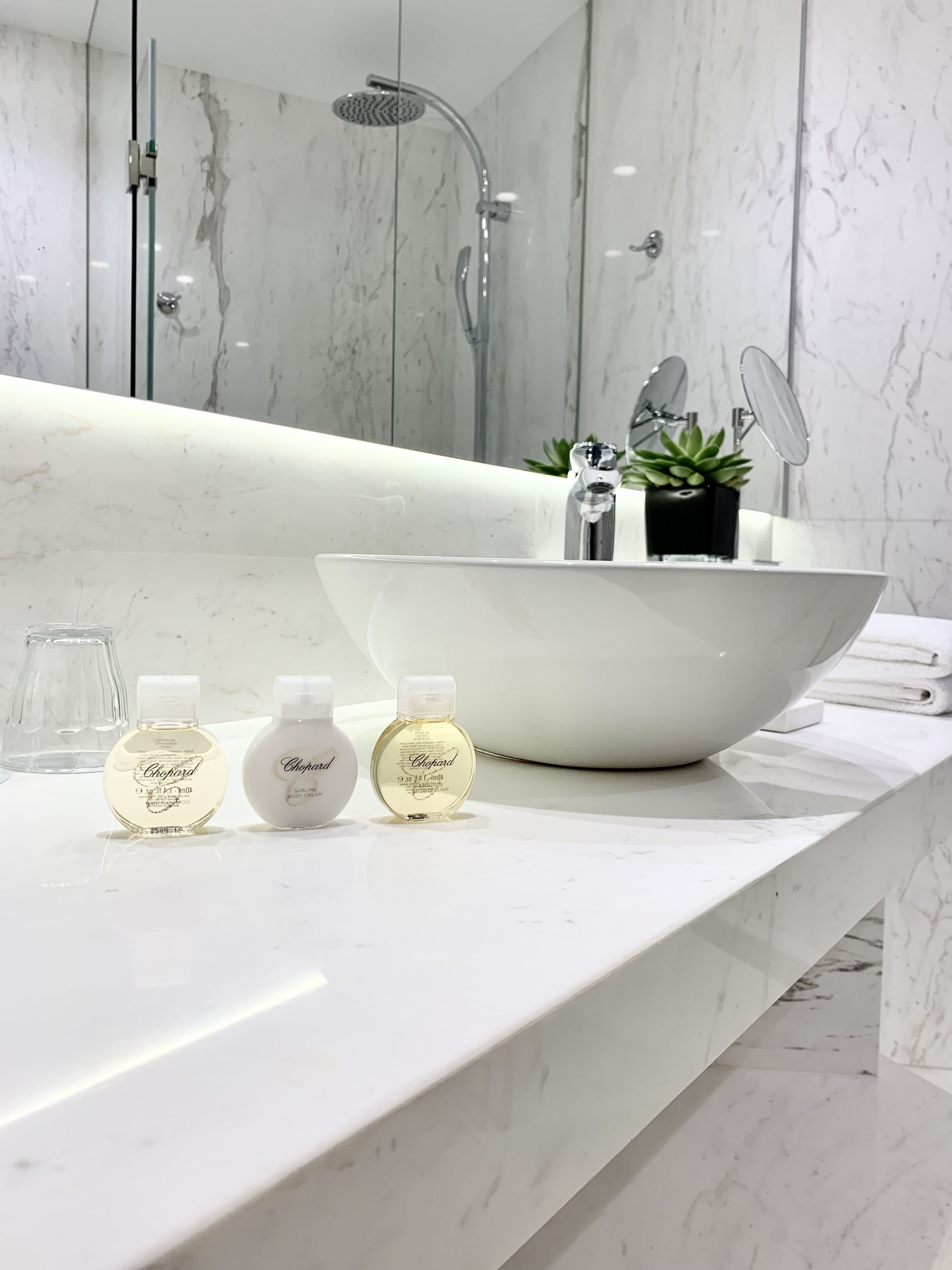 Een moderne badkamer met een grote witte wastafel, een handdouche en een kleine plant in een pot op het aanrecht.