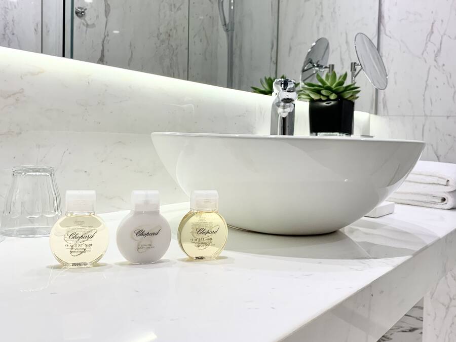 Een moderne badkamer met een grote witte wastafel, een handdouche en een kleine plant in een pot op het aanrecht.