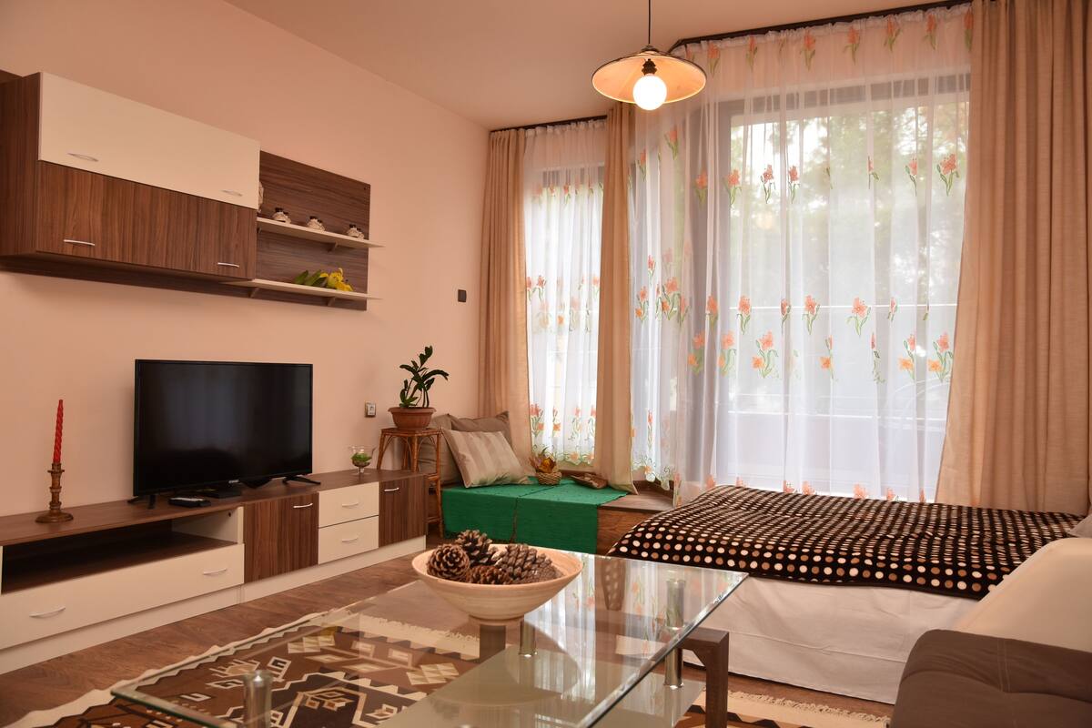 40-inch LED TV with satellite channels, TV, toys