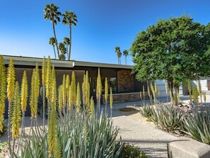 Ferienhaus, Mehrere Betten (Lucy I'm Home) | Eingangsbereich