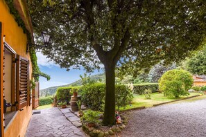 Property grounds - Cottage in Tuscany with Pool & Olive Groves (Cortona)