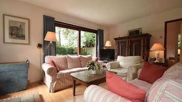 Een televisie, een open haard en een dvd-speler