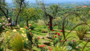A garden with various flowers and plants, a stone wall, and a view of the countryside. - Hillside Escape in Vinci (Vinci - Florence)