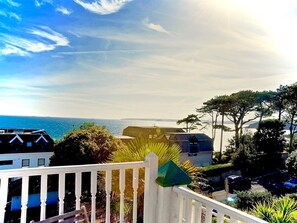 Habitación doble, baño en la habitación (Sandpiper) | Vista desde la propiedad