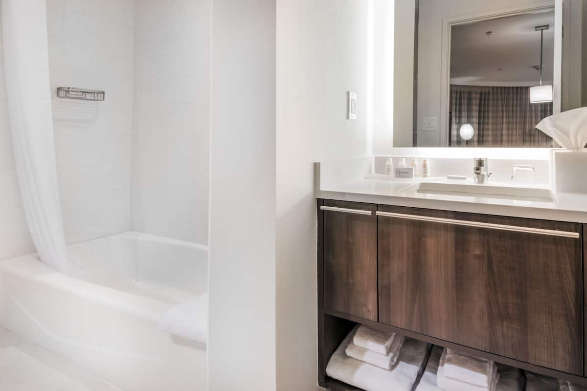 shower, free toiletries, hair dryer, towels