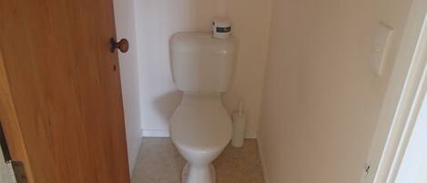 A small, narrow bathroom with a toilet, a toilet brush, and a white door.