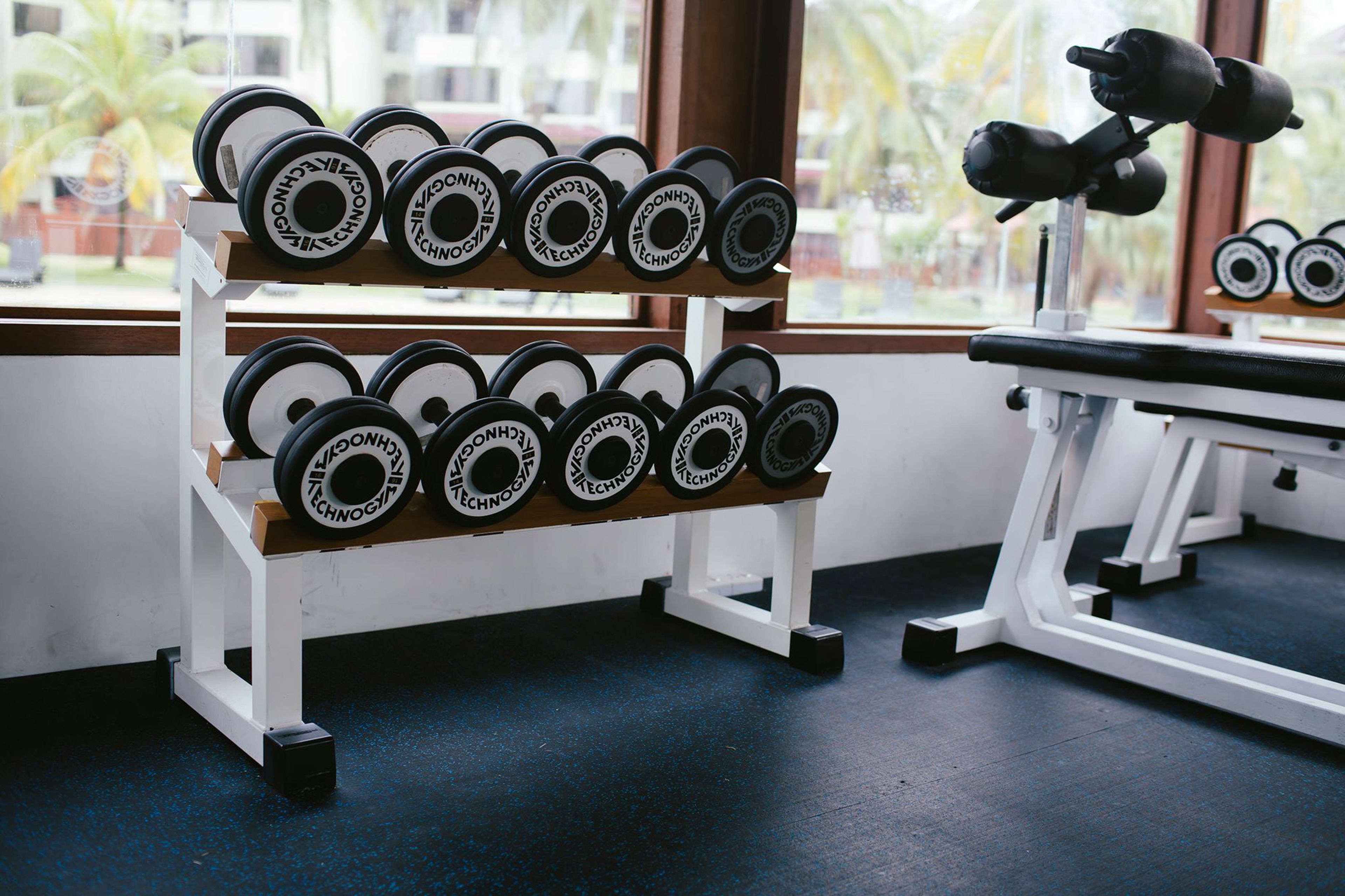 A rack of dumbbells in a gym with a window view.