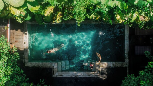 En rektangulær swimmingpool med klart vand, omgivet af frodig vegetation.