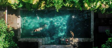 Piscina externa, espreguiçadeiras