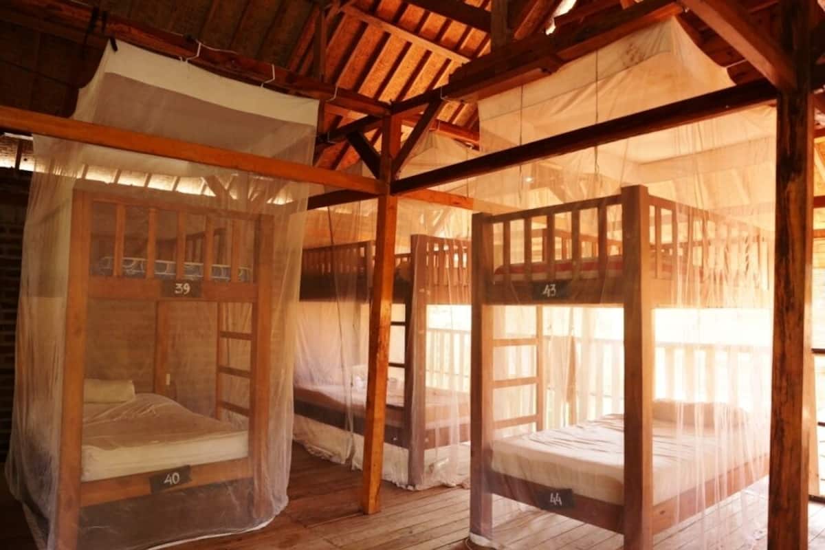 Dortoir Partagé | Coffres-forts dans les chambres, Wi-Fi gratuit, draps fournis