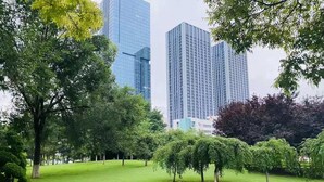 Un parque con césped verde, árboles y una gran roca. En el fondo, se ven edificios altos.