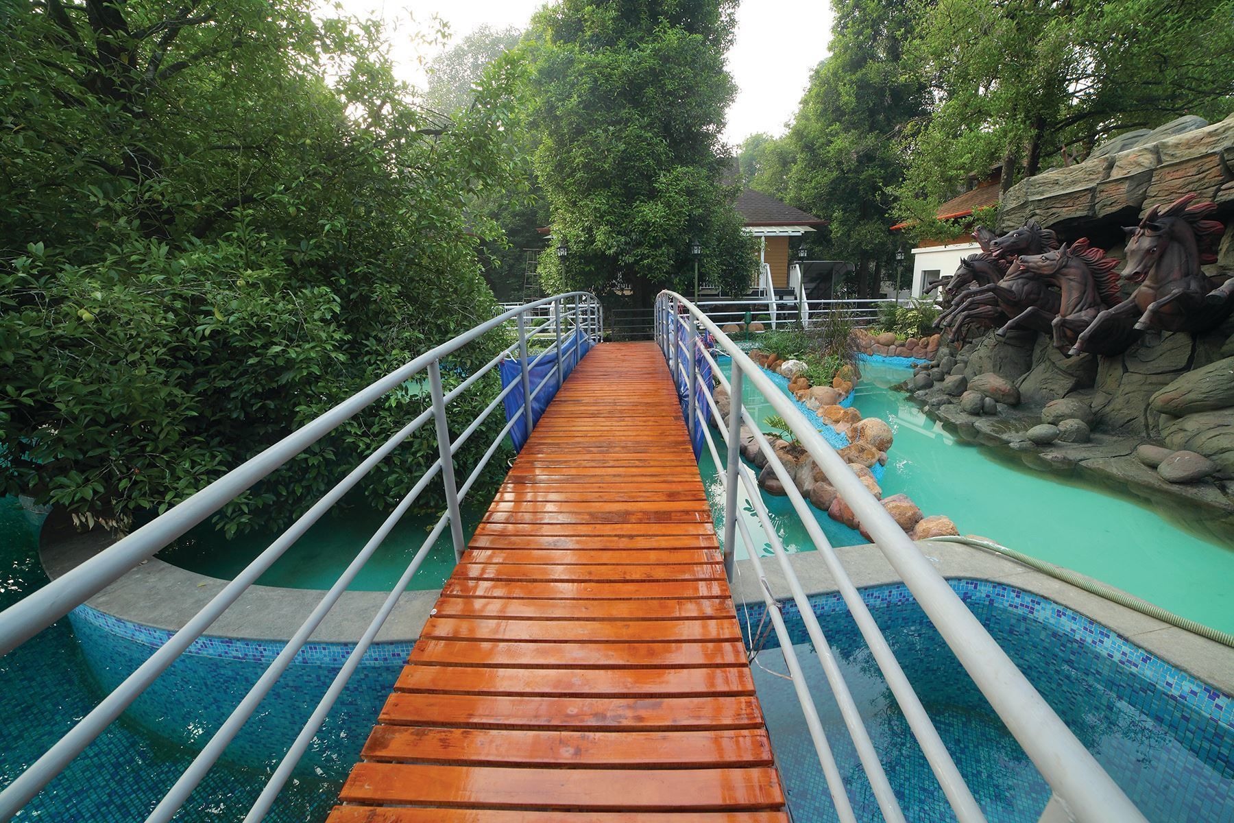 Servicio de la propiedad