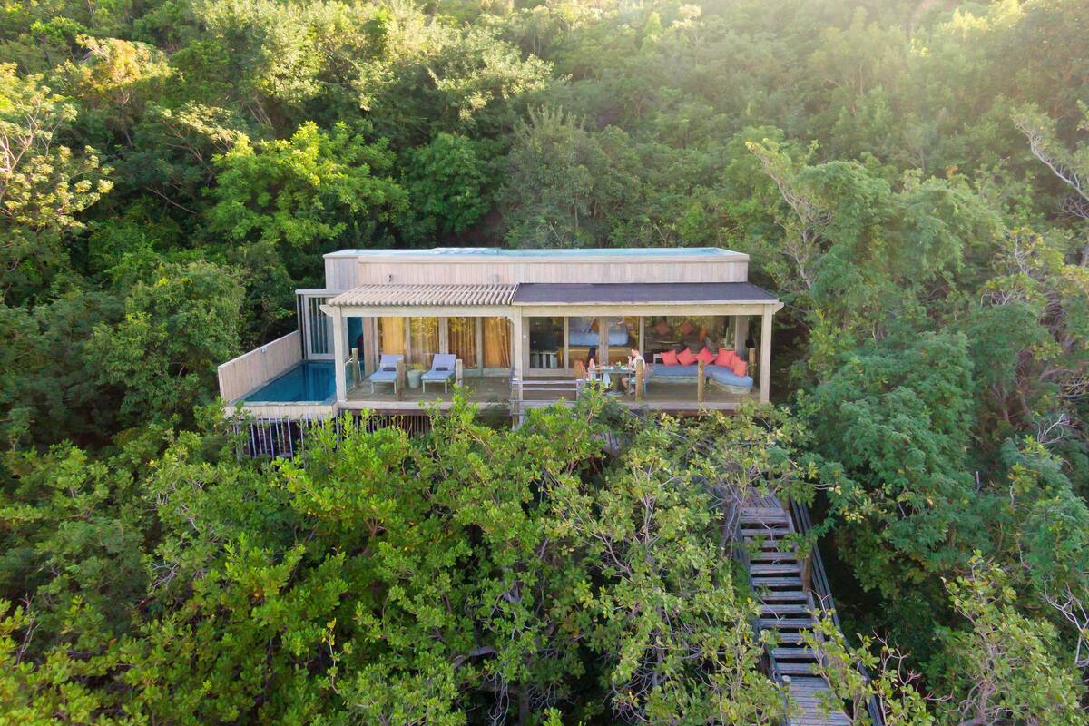 Ein modernes Haus mit Pool, umgeben von dichtem Wald.