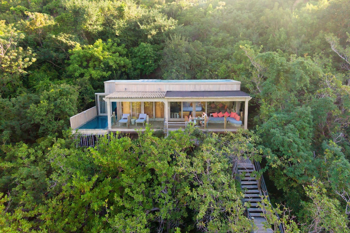 Treetop Pool Villa | Mountain view