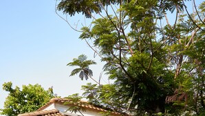 A house with a tiled roof, a window with a green frame, and a tree in front. - Baandara Resort Saraburi (Saraburi)