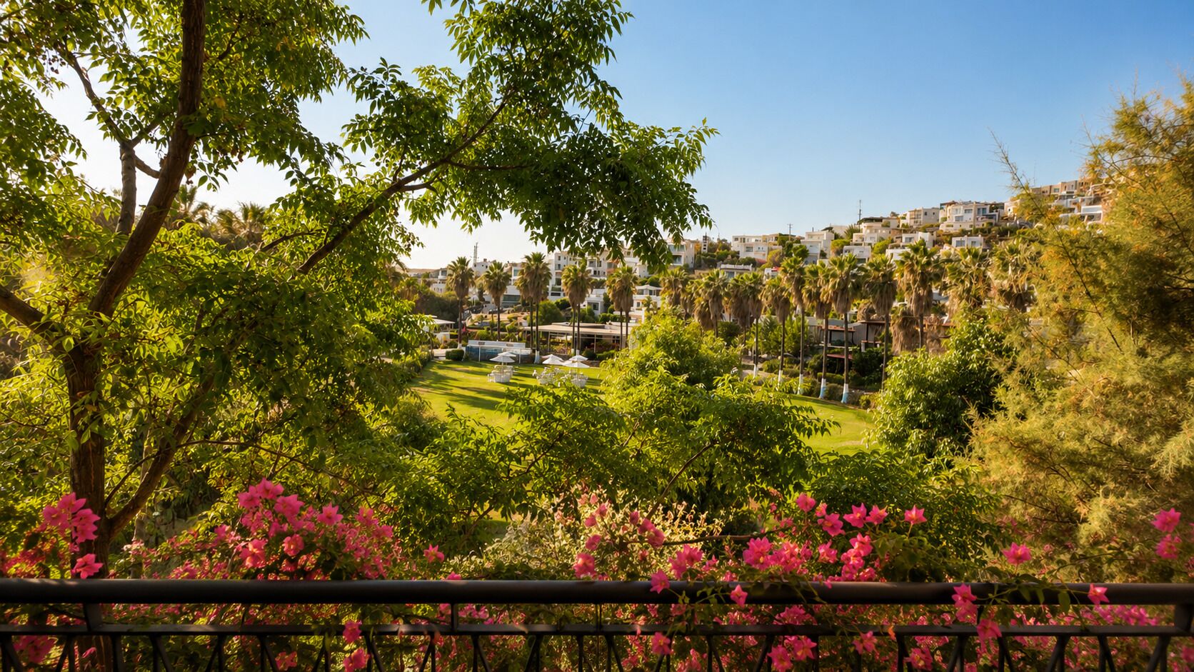 A residential area with houses, a lawn, and flowering plants.
