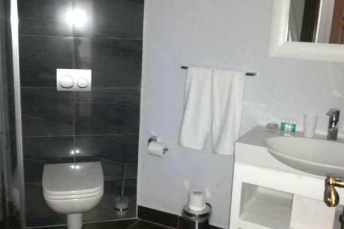 shower, free toiletries, hair dryer, towels