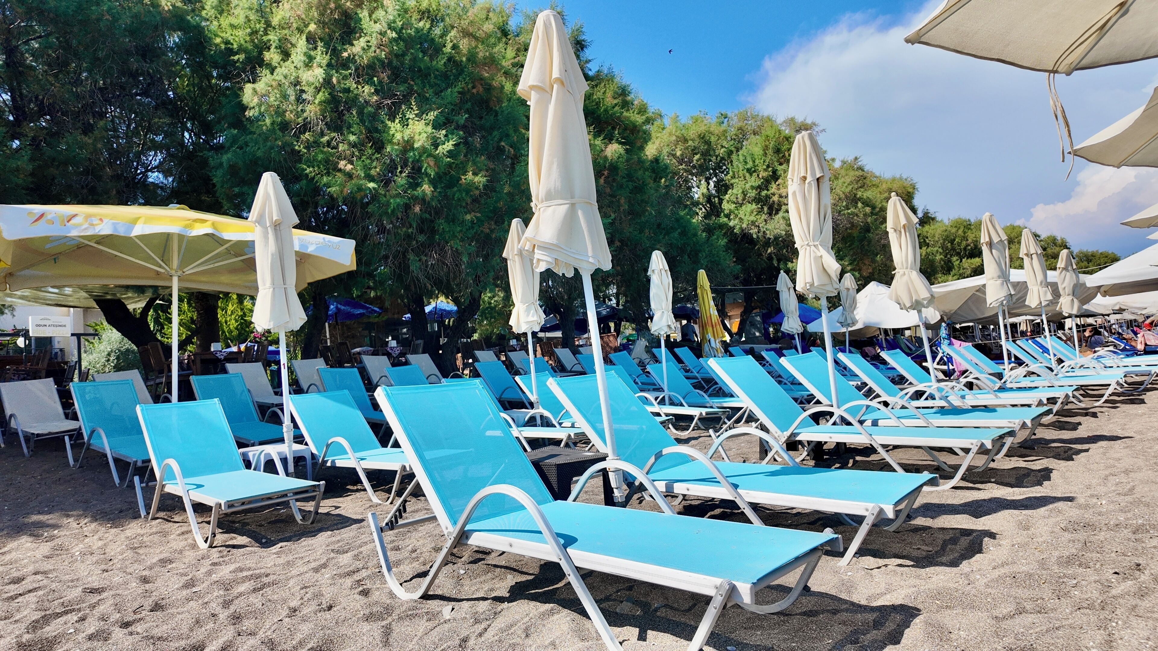 Una playa con filas de sillas azules y sombrillas blancas.