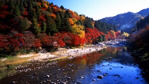 A river with a rocky bed, surrounded by trees with autumn foliage. - Toyota Prestige Hotel (Toyota)