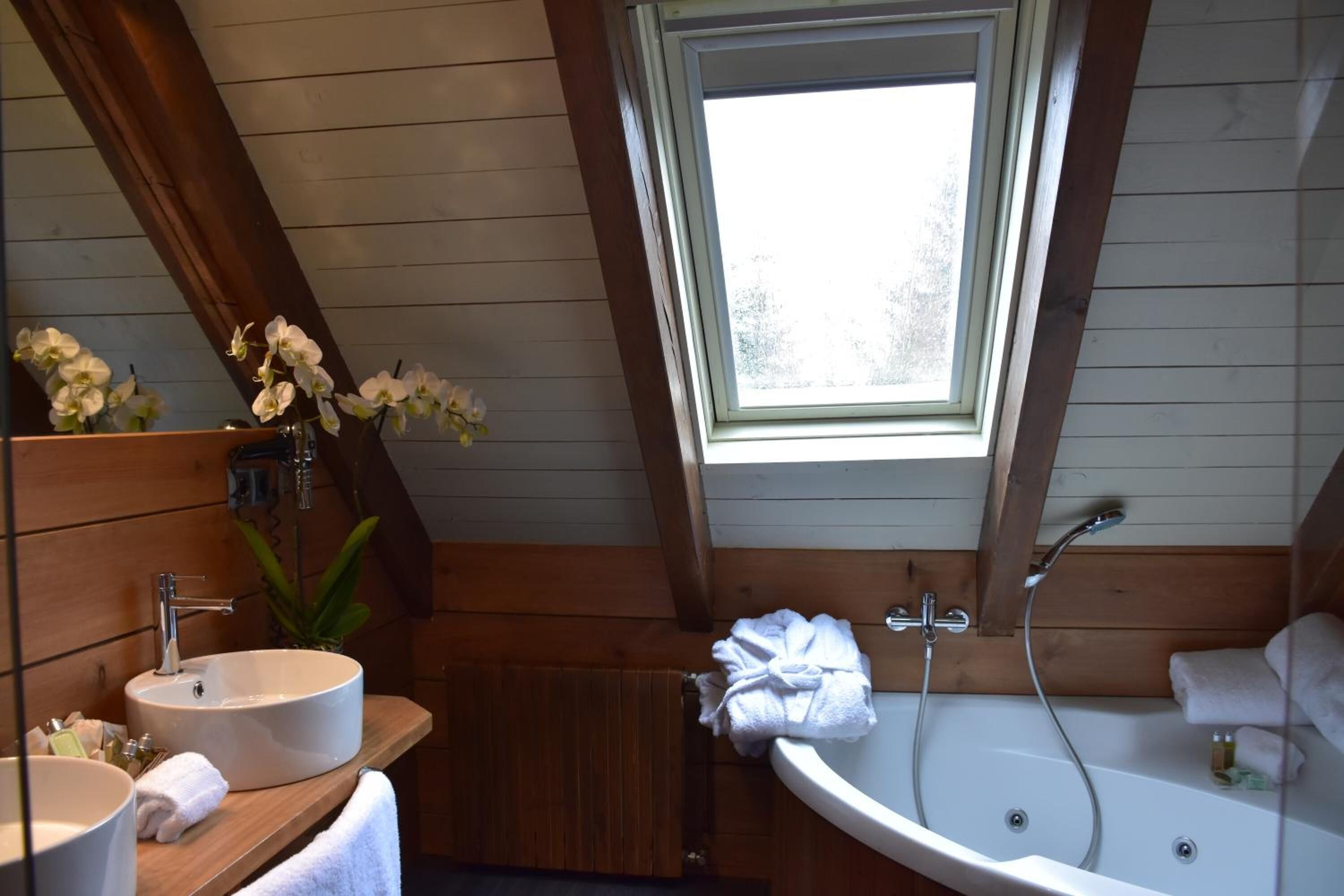 free toiletries, hair dryer, towels