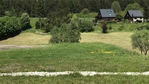 Un paysage rural avec deux maisons en bois, entourées d’une végétation luxuriante, et une colline boisée en arrière-plan.