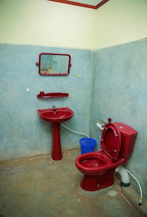 Shower, free toiletries, towels