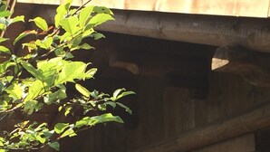 Uma estrutura de madeira com a inscrição "HIKAYAKI SUITE", indicando um espaço ou quarto destinado a caminhantes.