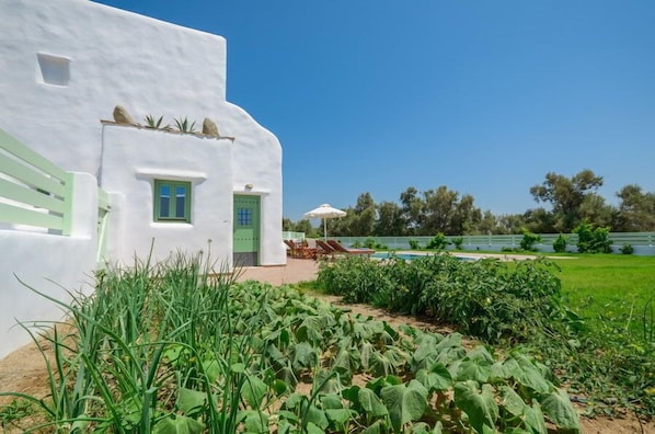 A white building with a green door and windows, surrounded by a garden with various plants and a pool area.