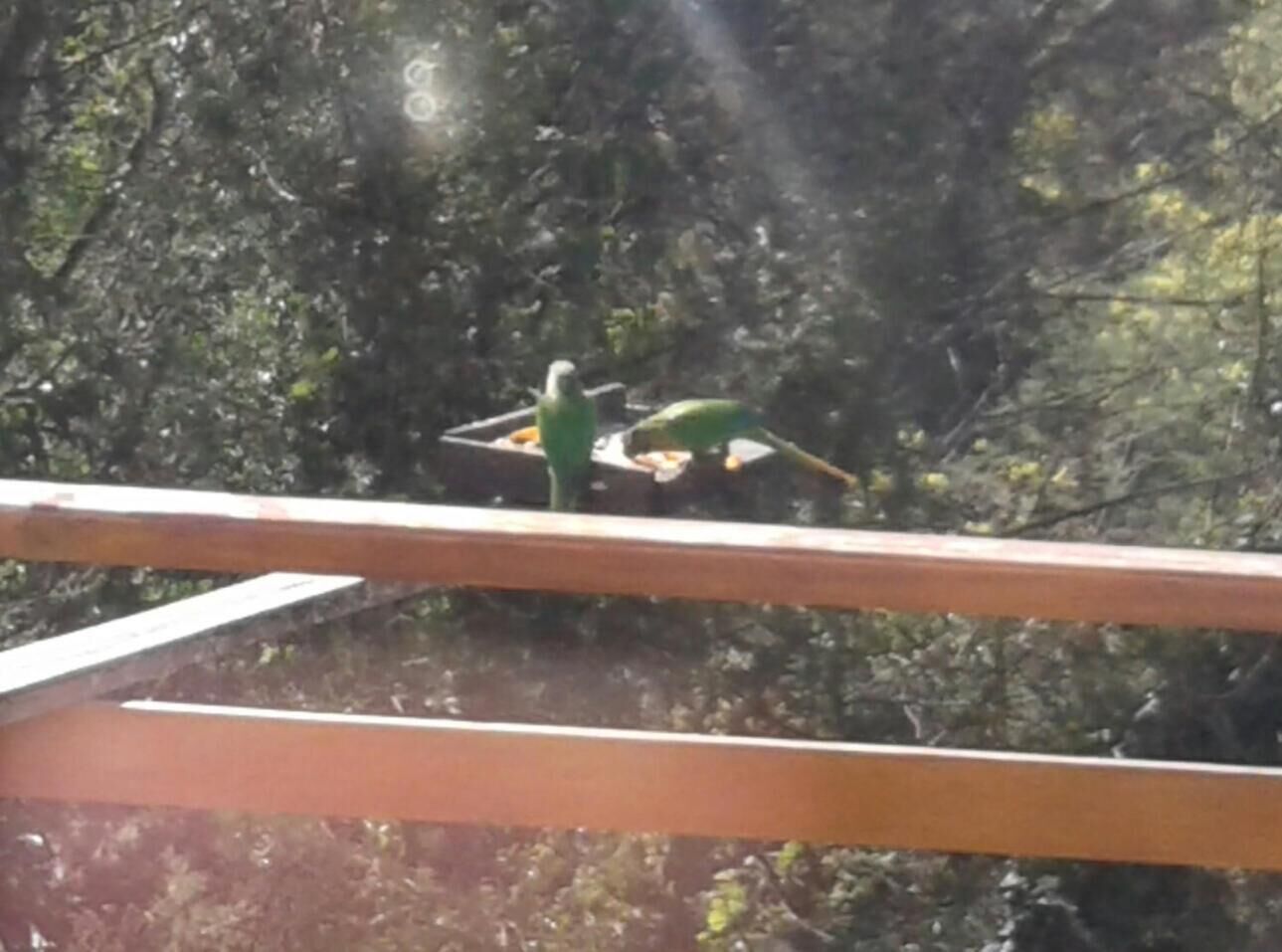 Foto - Pousada La Sierra
