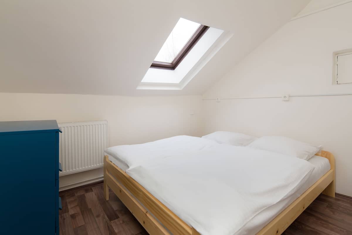 A bedroom with a skylight, a bed, a dresser, and a radiator.