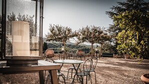 An outdoor seating area with tables and chairs, a large potted plant, and a view of a hilly landscape. - Petrolo (Bucine)