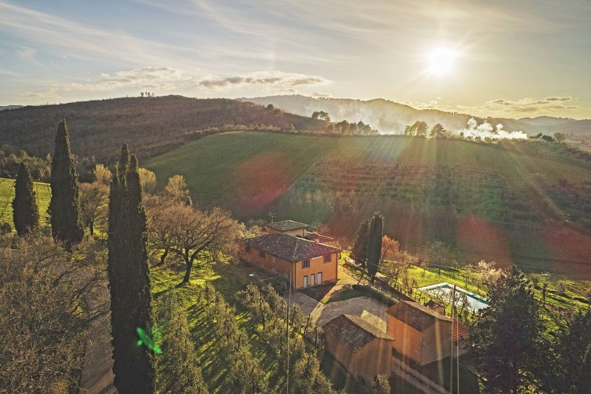 A rural landscape with a house surrounded by trees and fields.