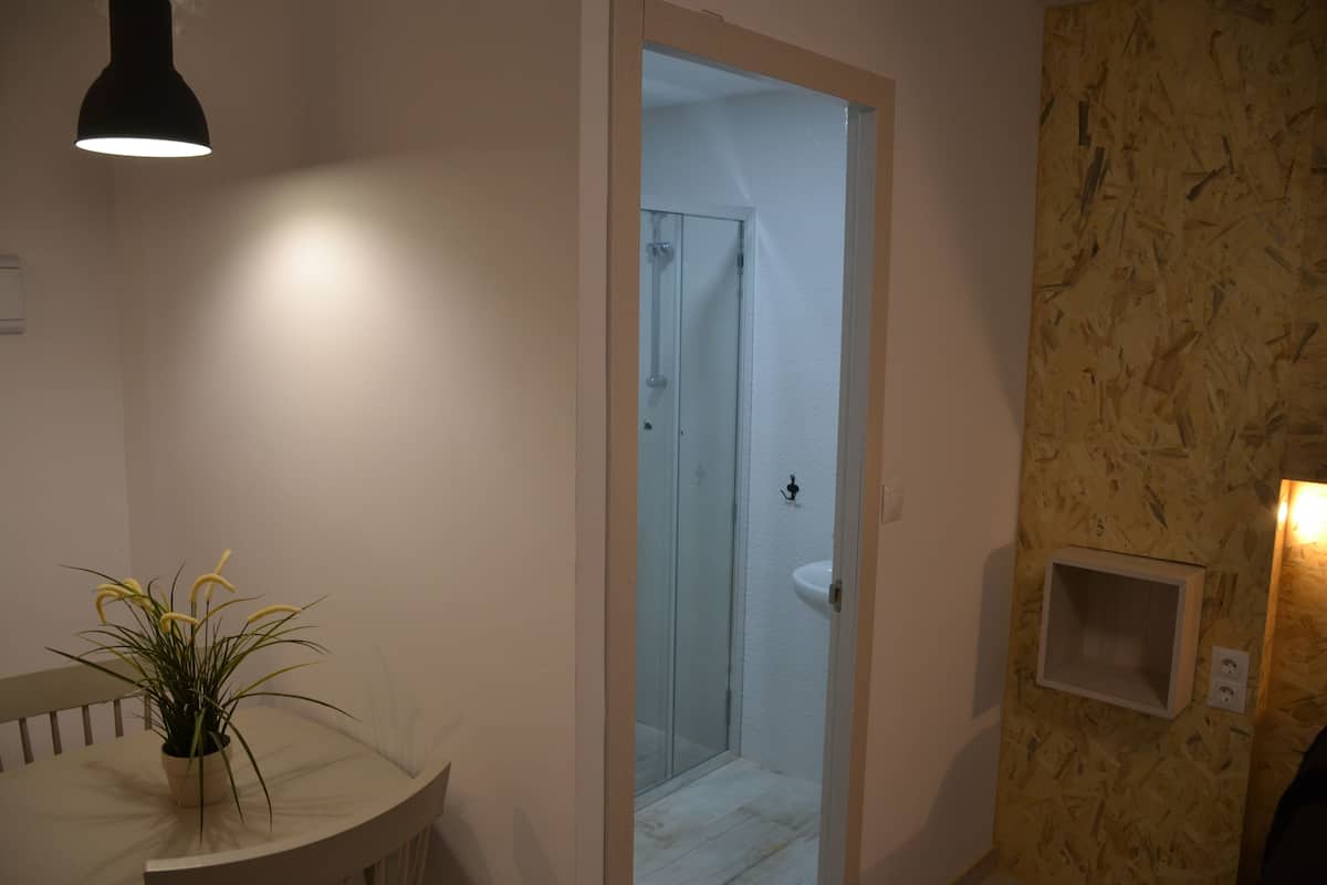 Un baño con lavamanos blanco, puerta de ducha de vidrio y planta en un mostrador curvo.
