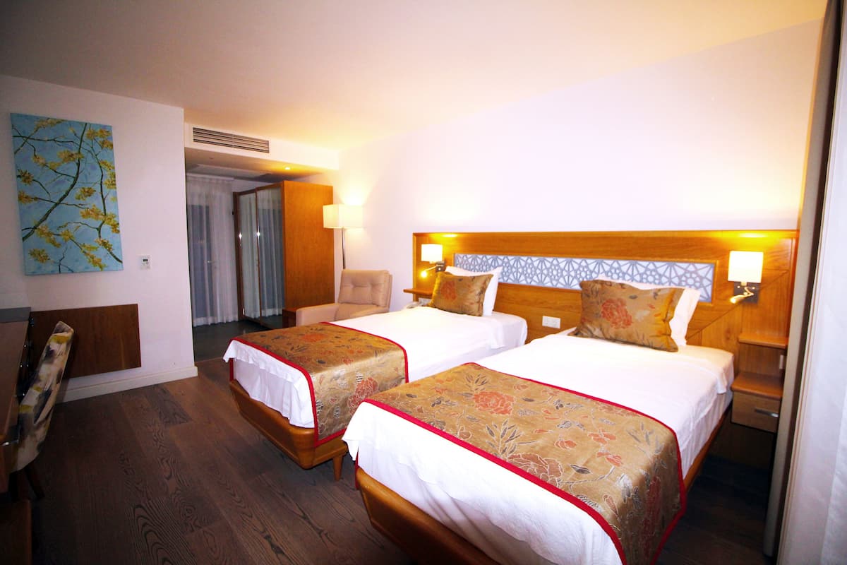 Deluxe İki Ayrı Yataklı Oda, Sigara İçilmez | Ücretsiz minibar, odada kasa, masa, dizüstü bilgisayar çalışma alanı 