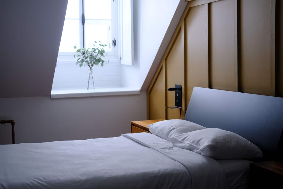 Un dormitorio con cama, mesita de noche, ventana y una planta.
