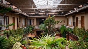 Jardim