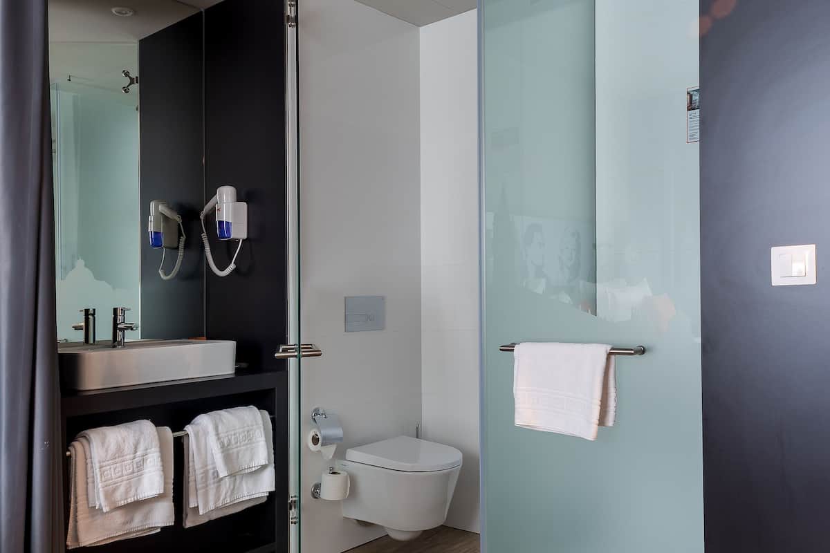 shower, free toiletries, hair dryer, towels