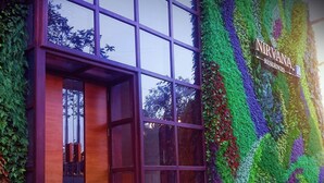 Fachada de edificio con un gran ventanal y un jardín vertical.