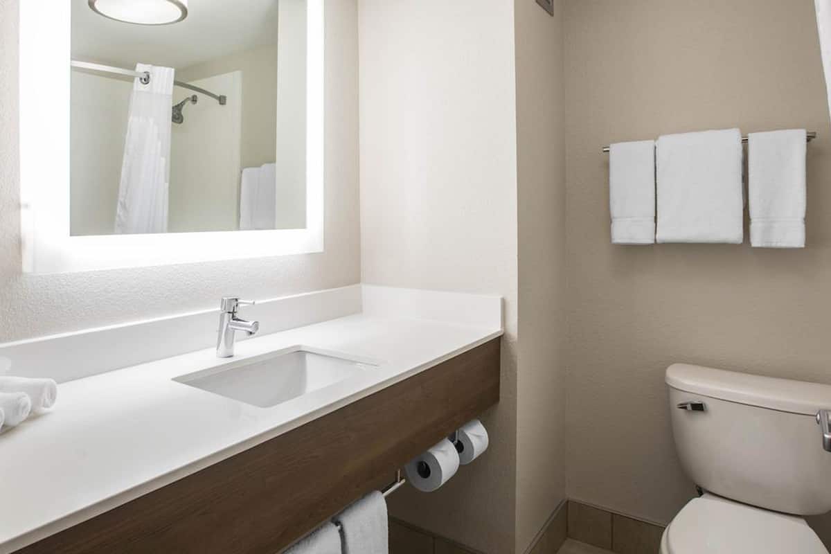 combined shower/bathtub, free toiletries, hair dryer, towels